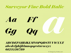 Surveyor Fine