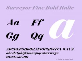 Surveyor Fine