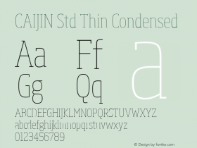 CAIJIN Std