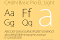 CAIJIN Basic Pro EL