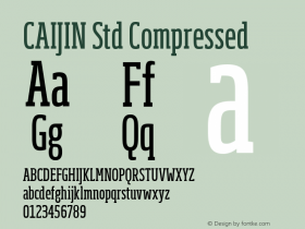 CAIJIN Std