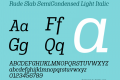 Rude Slab SemiCondensed