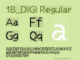 1B_DIGI