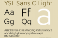 YSL Sans C