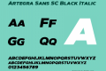 Artegra Sans SC