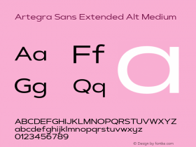 Artegra Sans Extended Alt