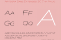 Artegra Sans Extended SC