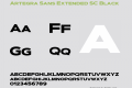 Artegra Sans Extended SC