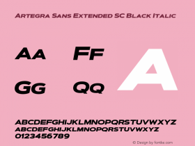 Artegra Sans Extended SC