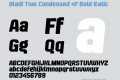 Bladi Two Condensed 4F