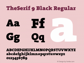 TheSerif 9 Black