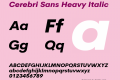 Cerebri Sans