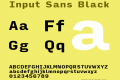 Input Sans