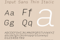 Input Sans