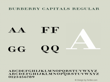 Burberry on sale apercu font