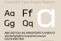 Copyright Type Supply