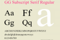 GG Subscript Serif