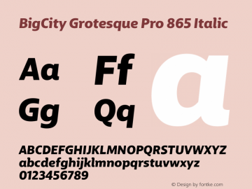 BigCity Grotesque Pro 865