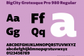 BigCity Grotesque Pro 980