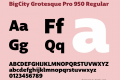 BigCity Grotesque Pro 950