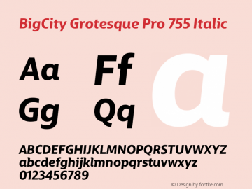 BigCity Grotesque Pro 755