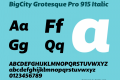 BigCity Grotesque Pro 915