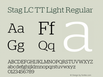 Stag LC TT Light