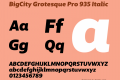 BigCity Grotesque Pro 935