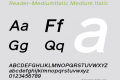 Reader-MediumItalic