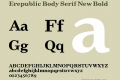 Erepublic Body Serif New
