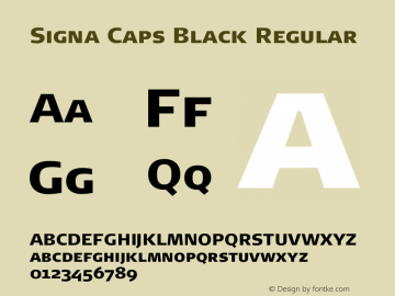 Signa Caps Black