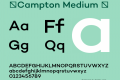 ☞Campton Medium