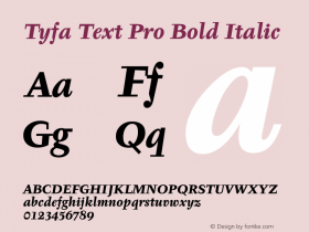 Tyfa Text Pro