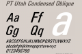 PT Utah Condensed