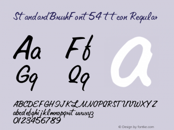 StandardBrushFont54 ttcon