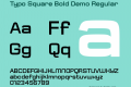 Typo Square Bold Demo