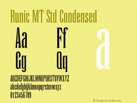 Runic MT Std