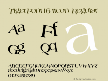 TigerFont16 ttcon