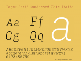 Input Serif Condensed
