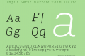 Input Serif Narrow