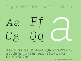 Input Serif Narrow