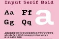 Input Serif