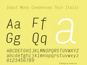 Input Mono Condensed