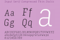 Input Serif Compressed