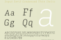 Input Serif Condensed