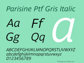 Parisine Ptf Gris