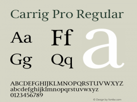 Carrig Pro