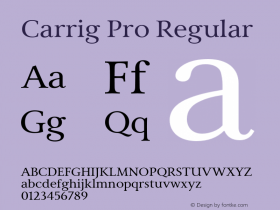 Carrig Pro