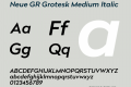 Neue GR Grotesk