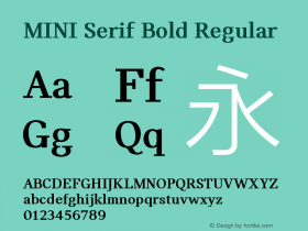 MINI Serif Bold